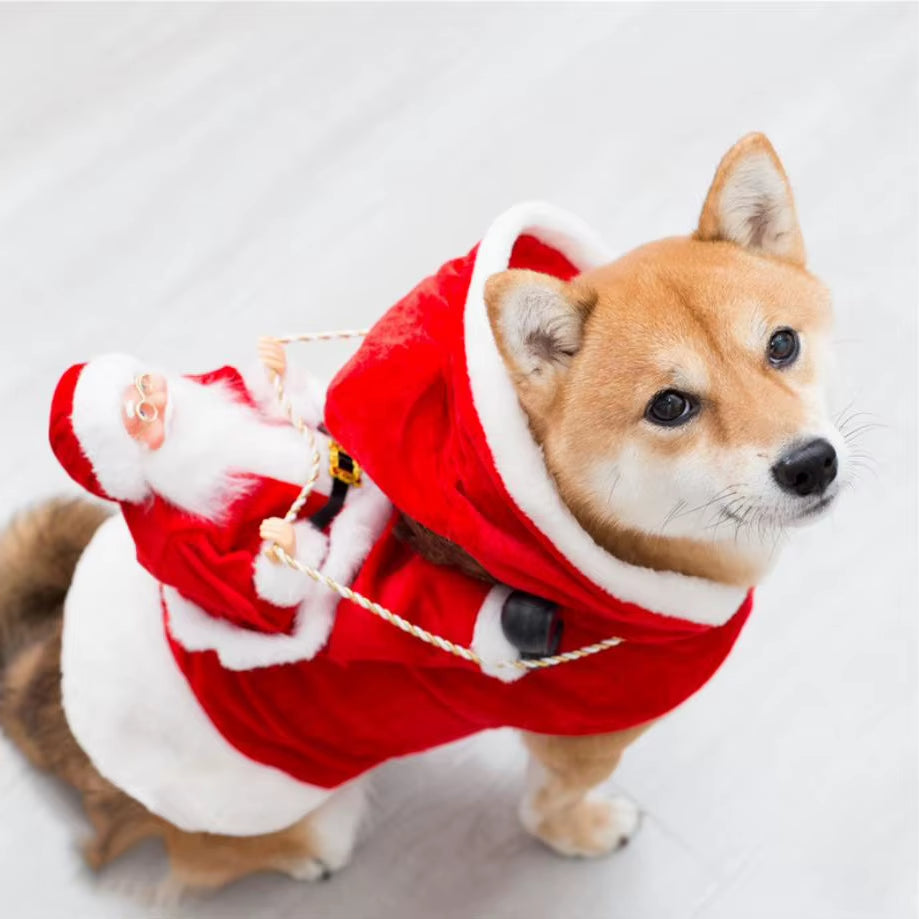 Christmas Dog Santa Costume