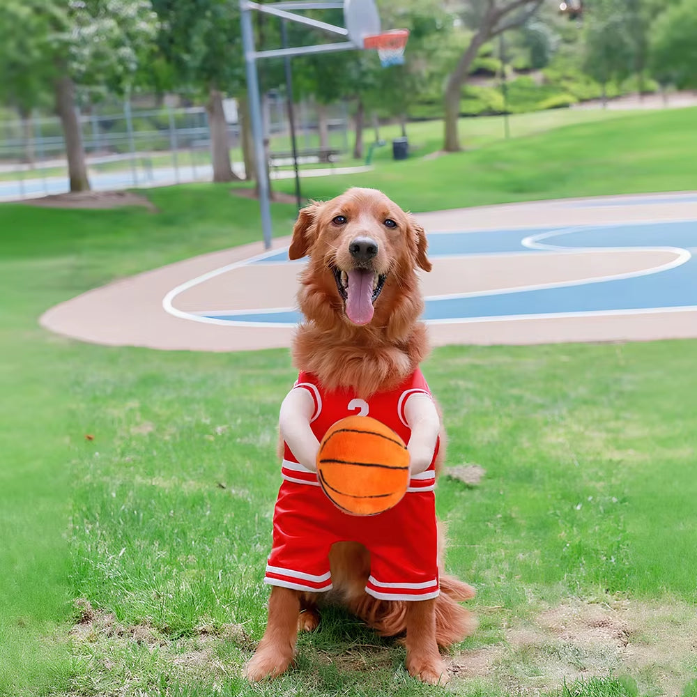 Halloween Basketball Dog Costume