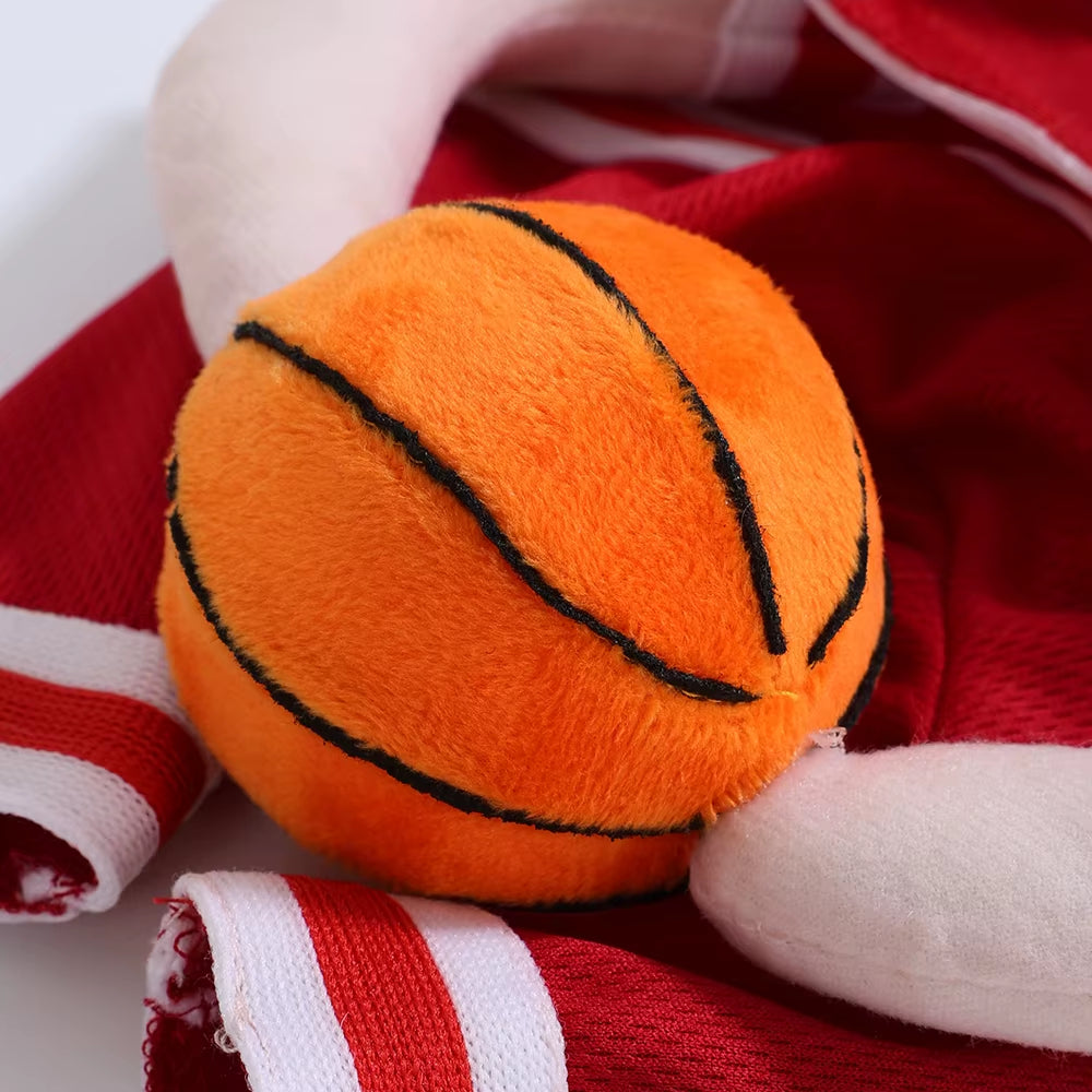 Halloween Basketball Dog Costume